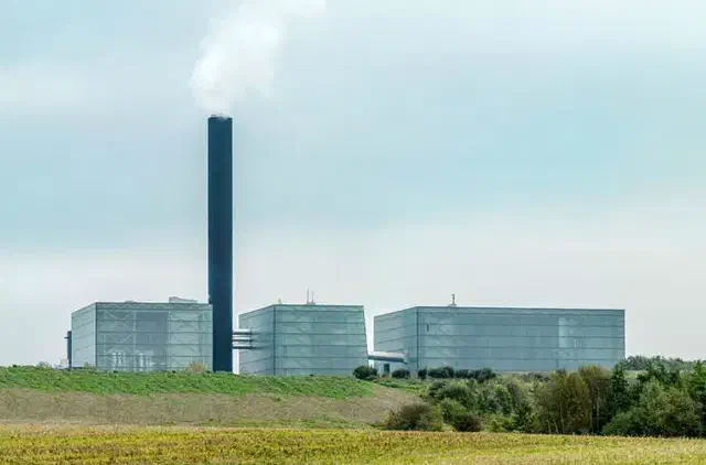 Kredsløb plant